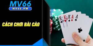 Cách Chơi Bài Cào