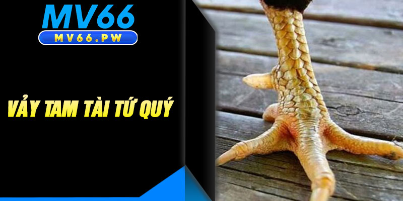Vảy Tam Tài Tứ Quý